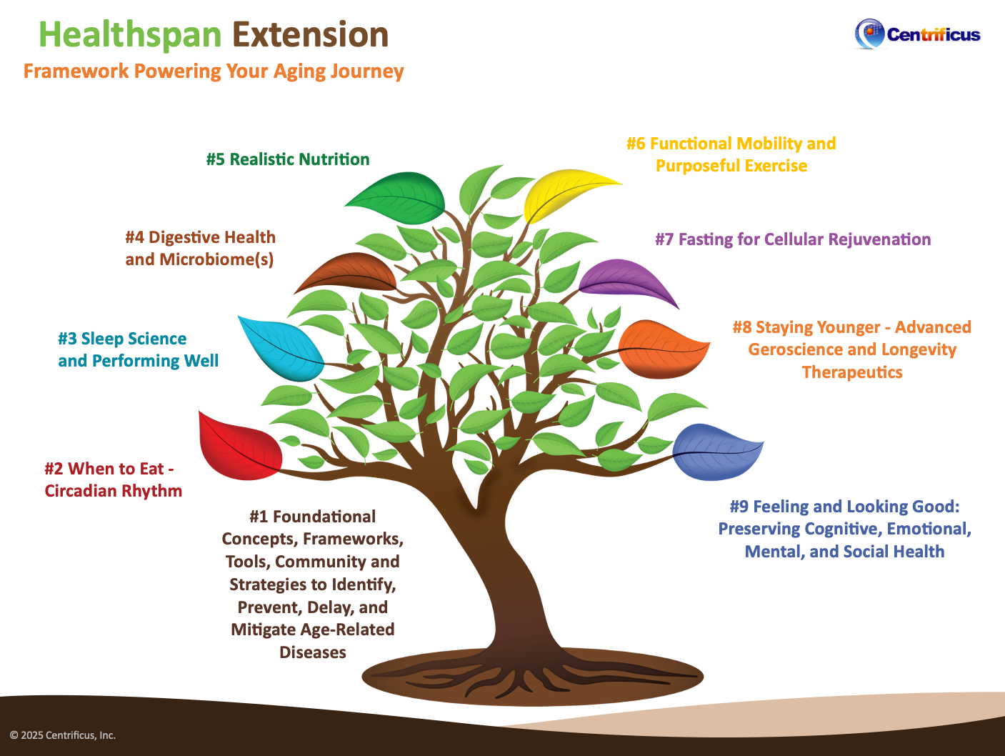 Illustration of a vibrant tree representing the nine foundational pillars of Healthspan Extension by Centrificus, Inc., designed to guide healthy aging and longevity. Each colored leaf corresponds to a specific pillar: #1 Foundational Concepts and Strategies to Prevent Age-Related Diseases (base of the tree), #2 When to Eat – Circadian Rhythm (red leaf), #3 Sleep Science and Performing Well (light blue leaf), #4 Digestive Health and Microbiome(s) (brown leaf), #5 Realistic Nutrition (green leaf), #6 Functional Mobility and Purposeful Exercise (yellow leaf), #7 Fasting for Cellular Rejuvenation (purple leaf), #8 Staying Younger – Advanced Geroscience and Longevity Therapeutics (orange leaf), #9 Feeling and Looking Good – Preserving Cognitive, Emotional, Mental, and Social Health (dark blue leaf). This framework supports a comprehensive aging journey emphasizing vitality, wellness, and longevity.
